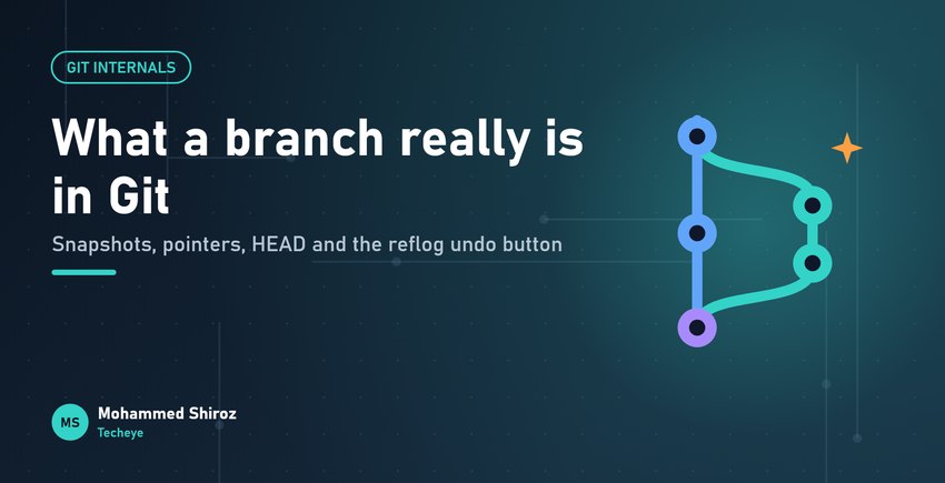 Git Under the Hood: Commits, Branches and HEAD Explained